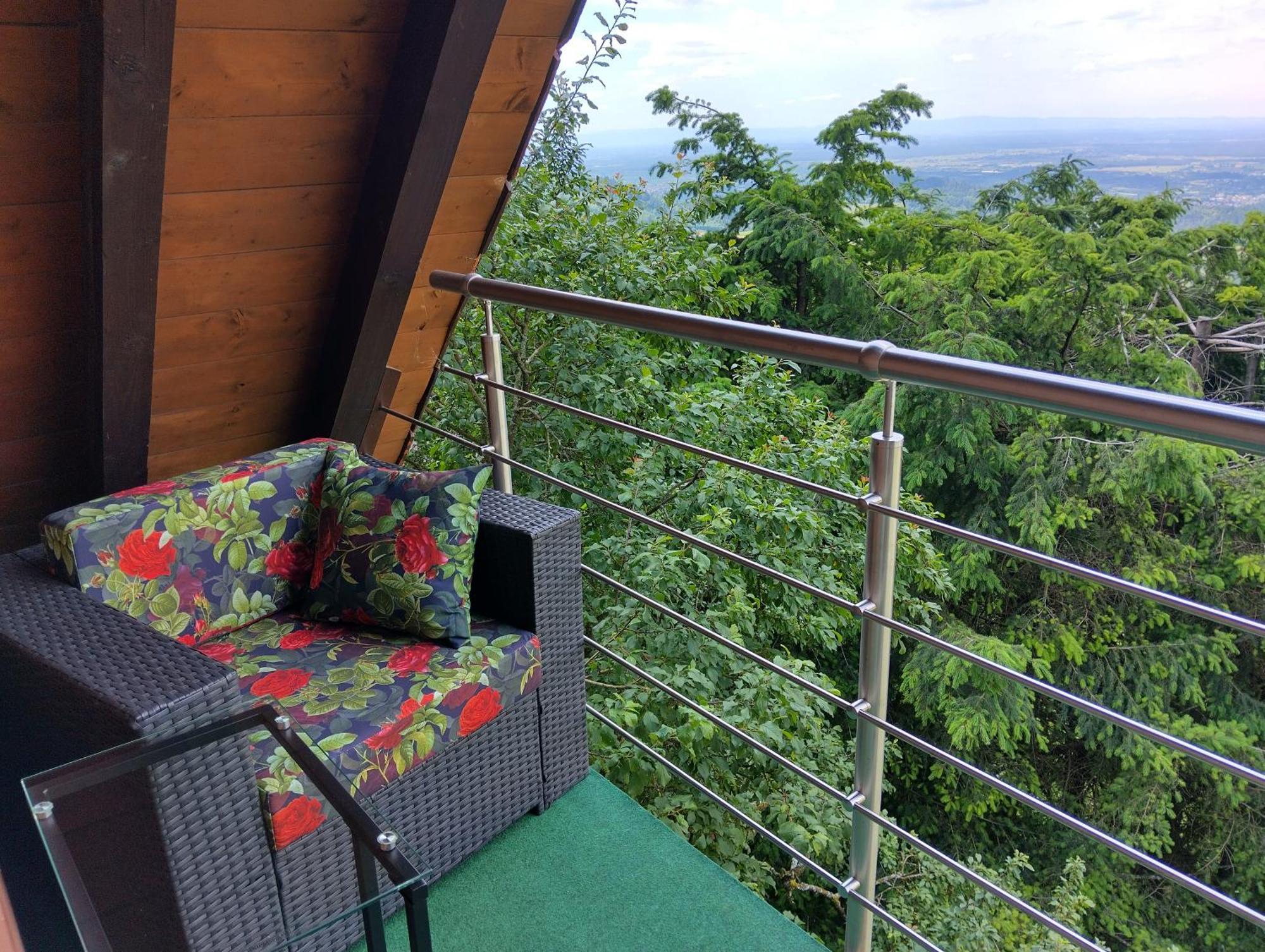 Apartament Haus "Guck - Ins - Tal" Sasbachwalden Zewnętrze zdjęcie