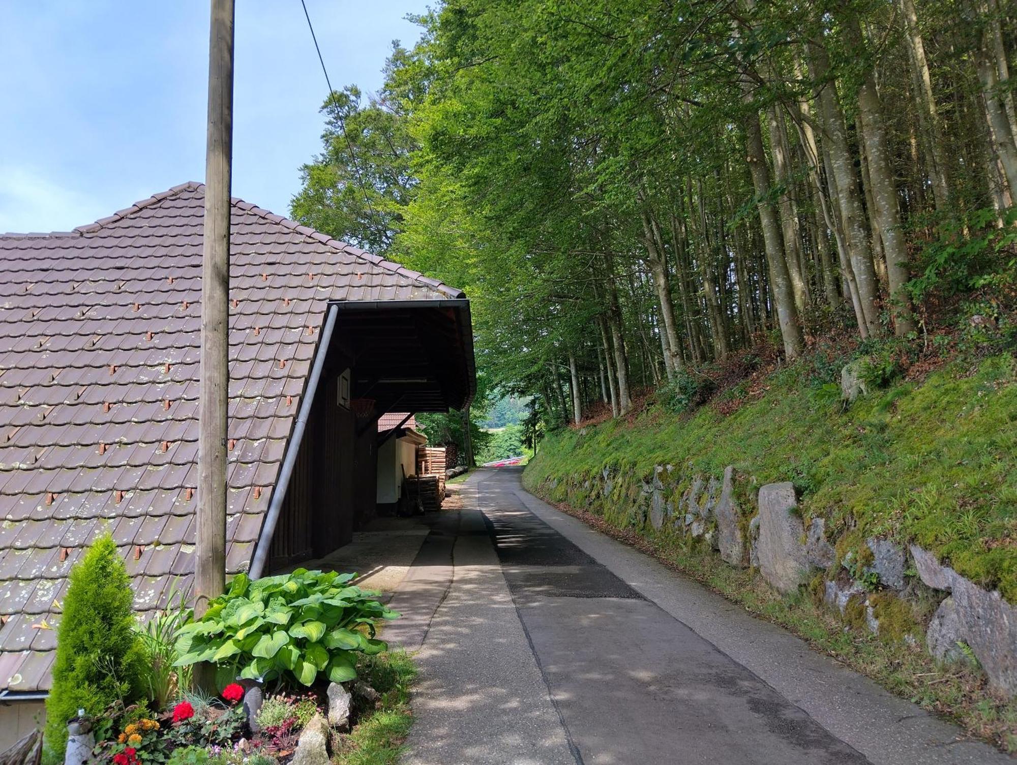 Apartament Haus "Guck - Ins - Tal" Sasbachwalden Zewnętrze zdjęcie