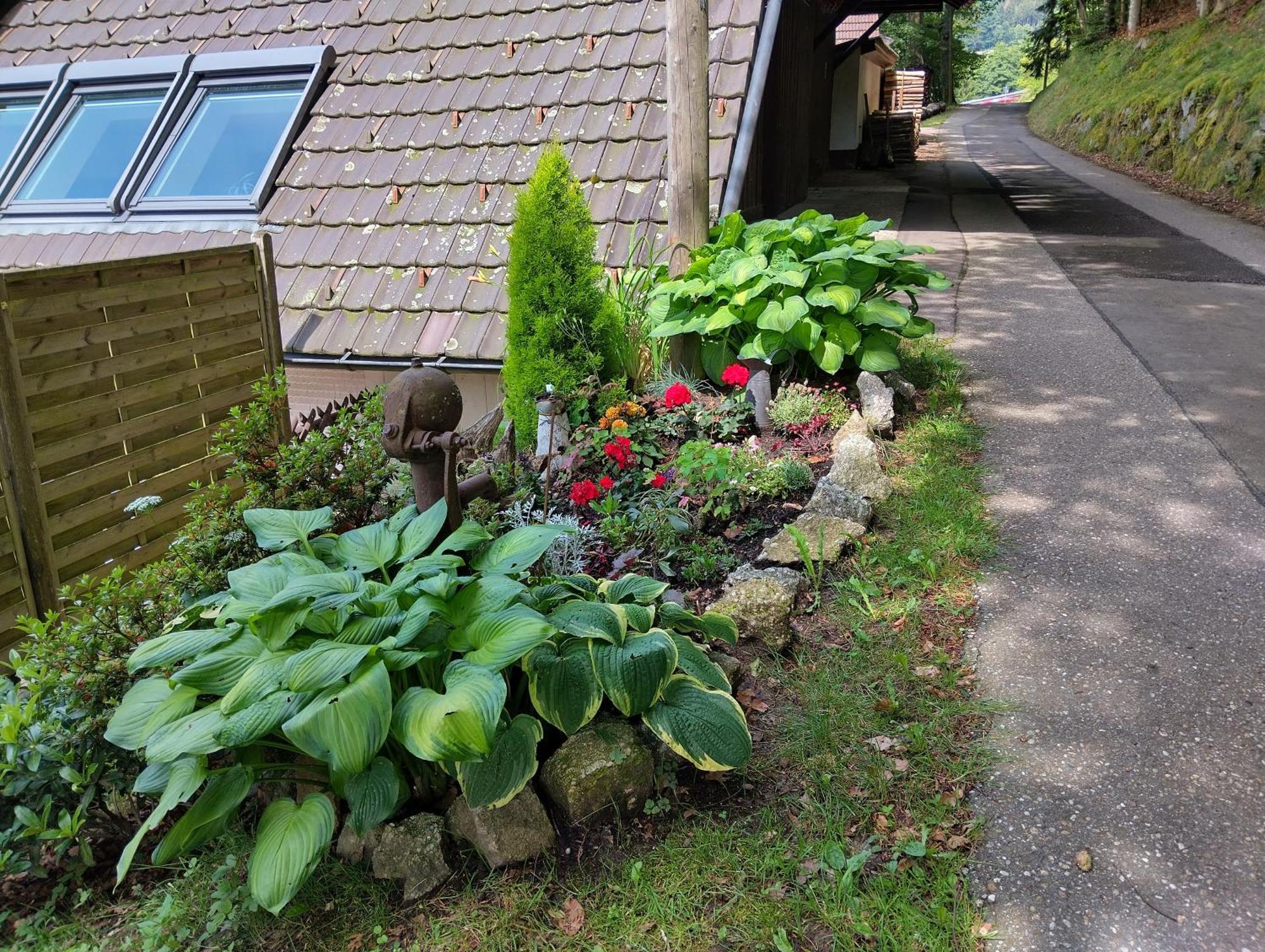 Apartament Haus "Guck - Ins - Tal" Sasbachwalden Zewnętrze zdjęcie