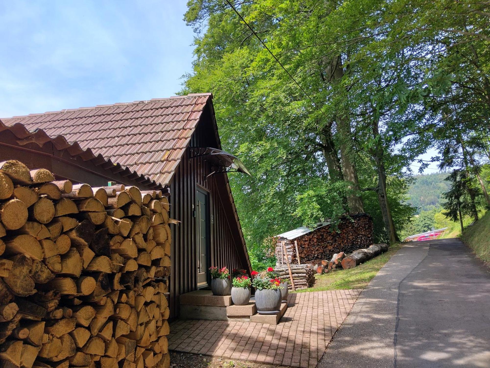 Apartament Haus "Guck - Ins - Tal" Sasbachwalden Zewnętrze zdjęcie