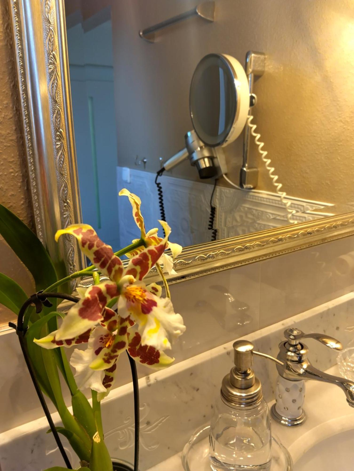 Apartament Haus "Guck - Ins - Tal" Sasbachwalden Zewnętrze zdjęcie