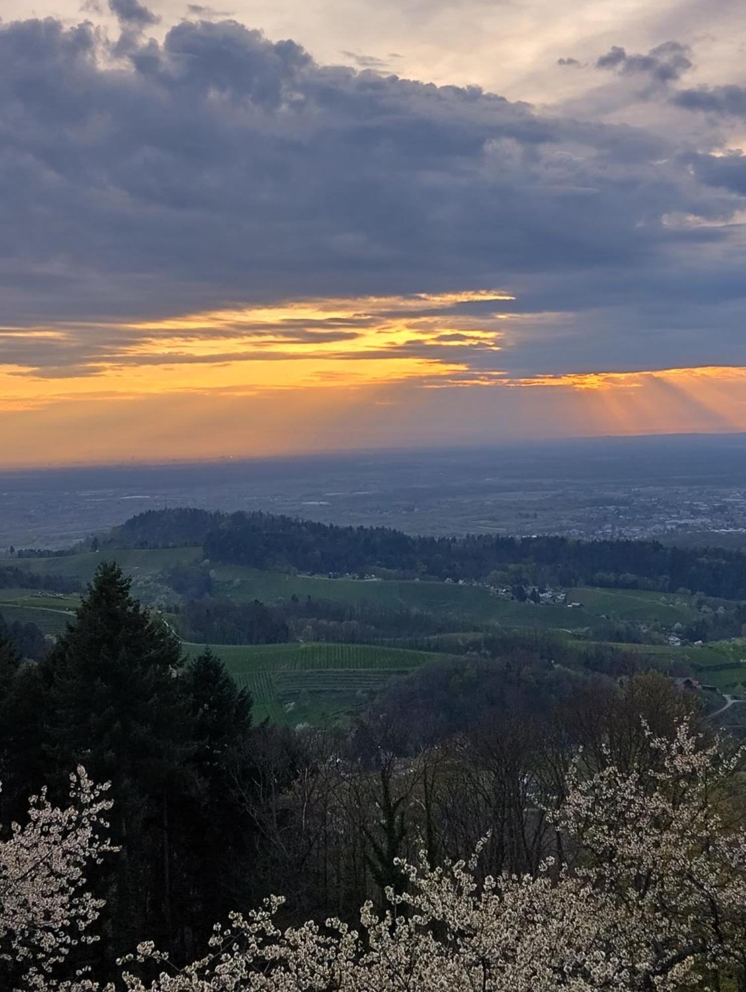 Apartament Haus "Guck - Ins - Tal" Sasbachwalden Zewnętrze zdjęcie